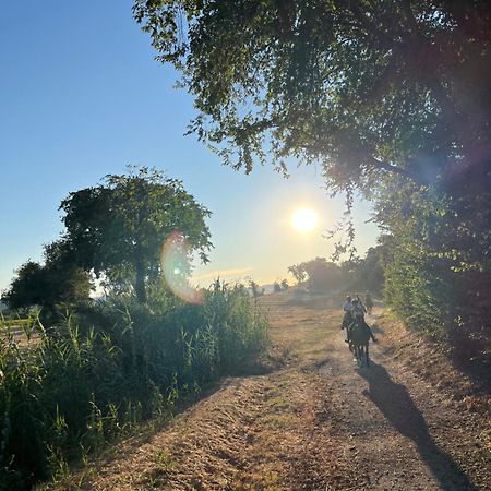 Agriturismo Hornos Numana Zewnętrze zdjęcie