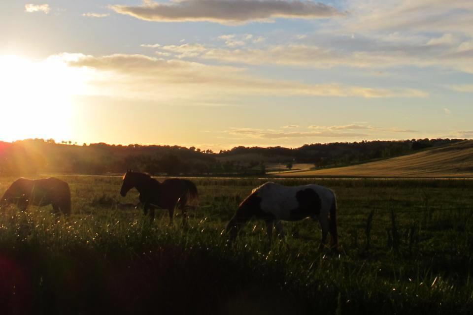 Agriturismo Hornos Numana Zewnętrze zdjęcie