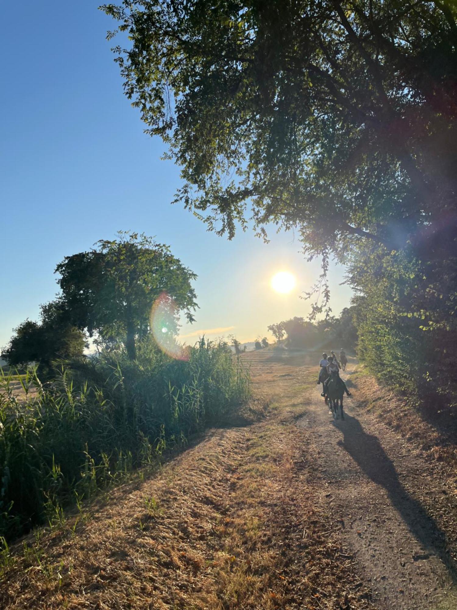Agriturismo Hornos Numana Zewnętrze zdjęcie