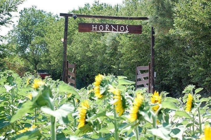 Agriturismo Hornos Numana Zewnętrze zdjęcie